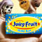 wrigleys juicy fruit